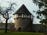 RIMG0868.jpg