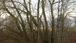 IMG_4523.jpg