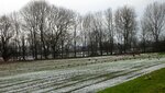 IMG_4540.jpg