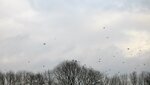 IMG_4548.jpg