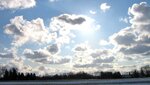 IMG_4560.jpg