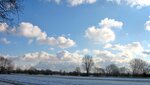 IMG_4562.jpg