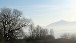 IMG_4607.jpg