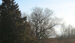 IMG_4608.jpg