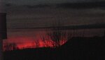 IMG_4617.jpg