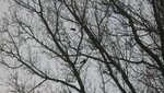 IMG_4648.jpg