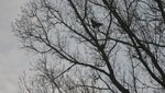 IMG_4647.jpg
