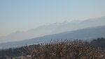 IMG_4643.JPG