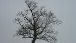 IMG_4689.JPG