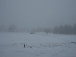 IMG_4182.jpg