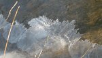 IMG_4754.jpg