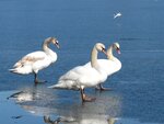 Am See 128.jpg