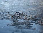 Am See 021.jpg