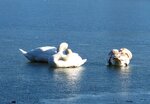 Am See 047.JPG