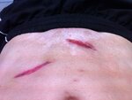 ImageUploadedByTapatalk1330608600.328414.jpg