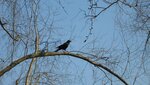 IMG_4906.jpg