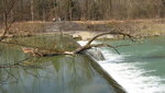 IMG_4928.JPG