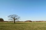 DSCN0472.jpg