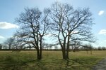 DSCN0471.jpg