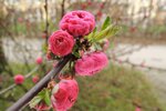 DSCN0515.JPG