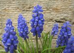 6. April 12 032.JPG