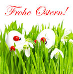frohe_ostern_by_www.liligraphie.de_pixelio.de.jpg