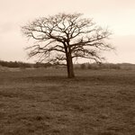 DSCN0577.JPG