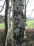 unbearbeitet 132.jpg