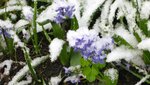 IMG_5011.jpg