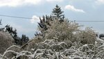 IMG_5016.jpg