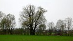 IMG_5037.jpg