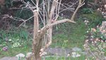 IMG_5044.jpg