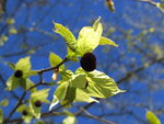 10.April 12 060.JPG