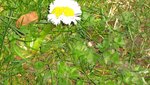 IMG_5052.jpg