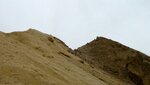 IMG_5055.jpg