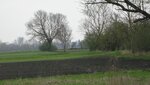 IMG_5071.jpg