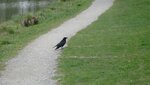 IMG_5080.jpg