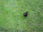 IMG_2590.jpg