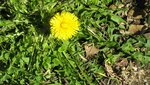 IMG_5126.jpg