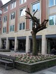 IMG_4308.jpg