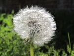 26.4.12 040.JPG