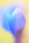 DSC03879-1_bearbeitet-2.jpg