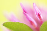 DSC03780_bearbeitet-1.jpg
