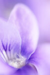 DSC03806_bearbeitet-2.jpg