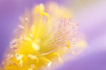 DSC03615_bearbeitet-3.jpg