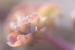 DSC03407_bearbeitet-1.jpg
