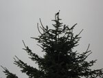 IMG_2631.jpg