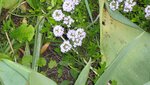 IMG_5312.jpg