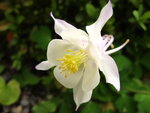 12.Mai 12 014.JPG