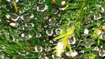 IMG_5325.jpg